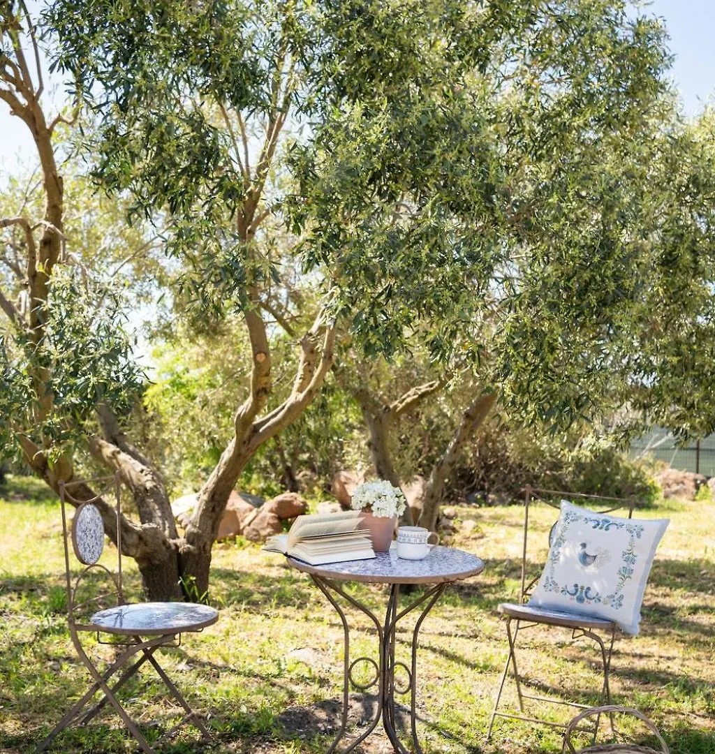 בית נופש Villa Orgoi, Immersa Nel Verde